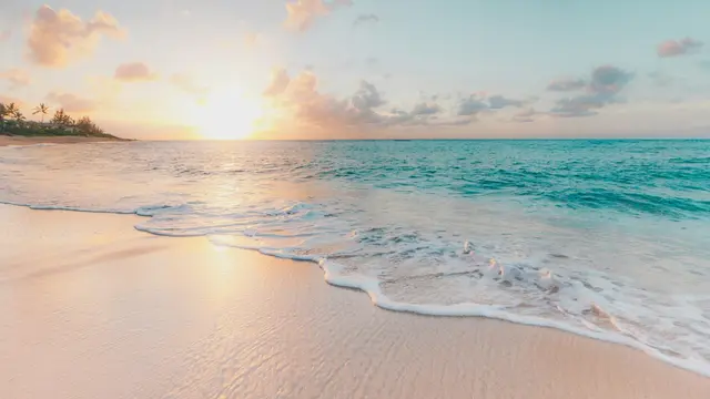 Sea