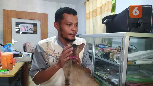 Mohamad Djafar, warga Gorontalo yang mendirikan Panti Asuhan Kucing Terlantar (Foto: Arfandi Ibrahim/Liputan6.com)