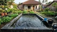 8 Ikan Air Tawar yang Tetap Menghasilkan Meski Hanya Dikelola di Akhir Pekan
