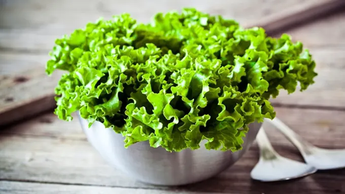 Foto: Copyright ShutterStock.com