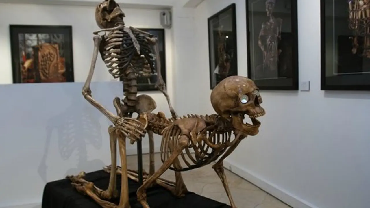 [Bintang] 6 Museum Seks di Dunia yang Wajib Kamu Kunjungi Saat Travelling