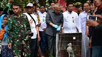 Cerita Elang Brontok Tersesat ke Jalan yang Benar