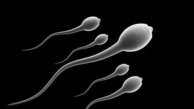 8 Manfaat Sperma Bagi Perempuan yang Bakal Bikin Kamu Melongo