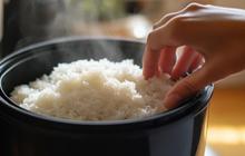 Cara Mudah Menanak Nasi Pulen Tanpa Minyak yang Wajib Kamu Coba