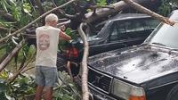 Pohon tumbang akibat hujan deras disertai angin kencang menimpa dua mobil di Jalan Mujair, Depok Jaya, Kota Depok, Jawa Barat. (Foto: Istimewa)