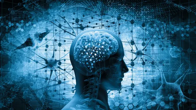 Benarkah Omega-3 Baik untuk Kesehatan Otak? (Adike/Shutterstock)