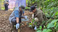 Peringati Hari Lingkungan Hidup, 500 Pohon Buah Ditanam di Gunung Aseupan