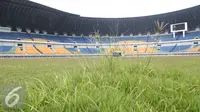 Jarang digunakan, rumput Stadion Gedebage mulai meninggi, Bandung, Rabu (10/6/2015). Penyidik Dirtipidkor Polri dan sejumlah tenaga ahli mengecek fisik stadion dalam kasus korupsi pembangunan Stadion Gedebage (Liputan6.com/Awan Harinto)