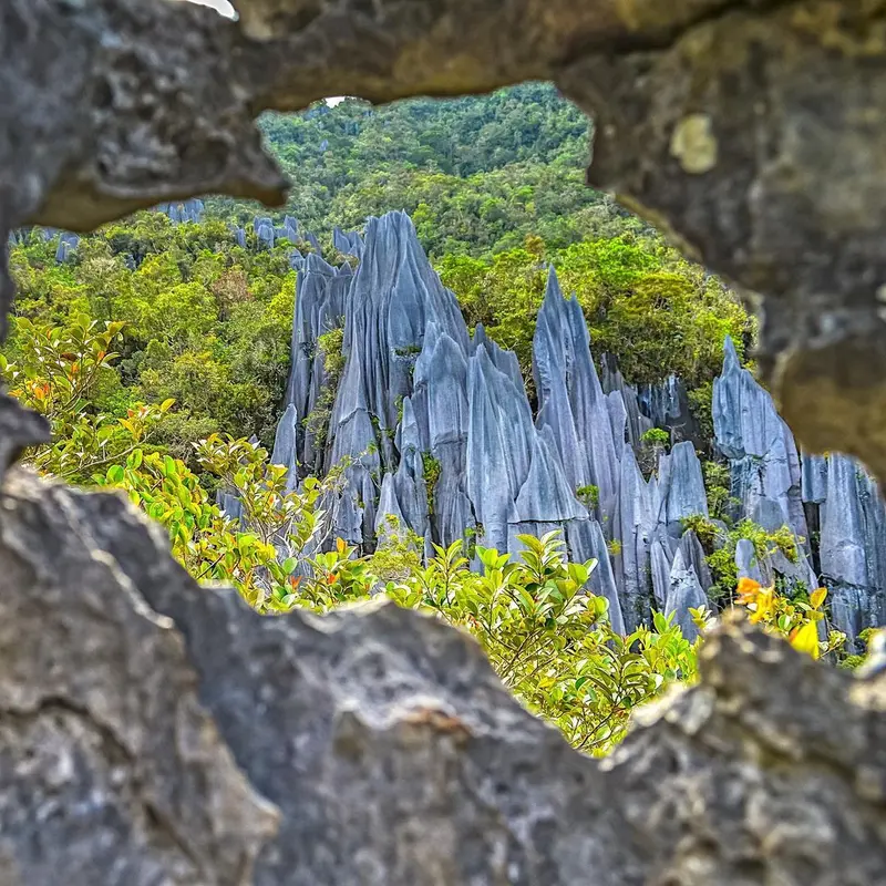 Gunung Mulu National Park, Malaysia