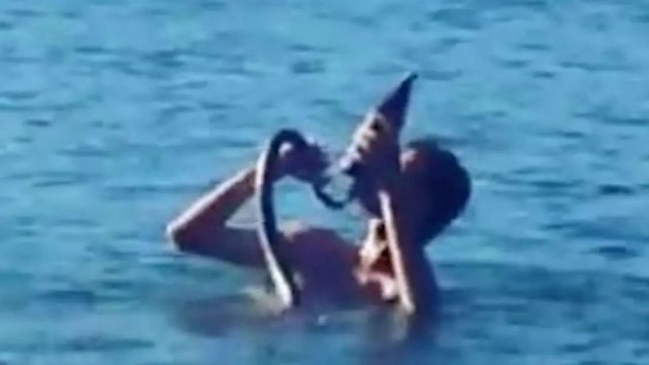 Momen Aneh, Pria Ajari Ular Peliharaan Berenang Sambil Minum Bir