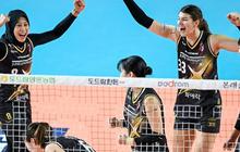 Jadwal Daejeon Red Sparks Vs Korea Expressway Hi-Pass, Ini Link Live Streamingnya
