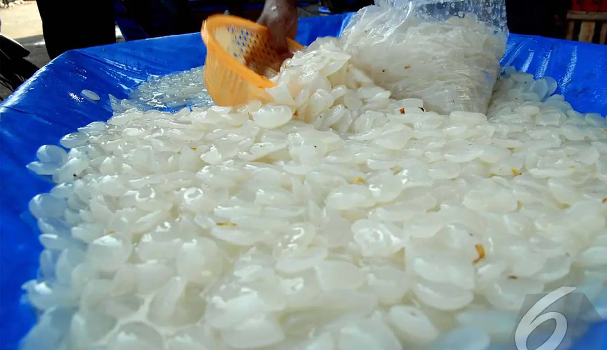 Kolang kaling menjadi incaran pembeli karena dagingnya yang empuk dan rasanya yang manis, Jakarta, Selasa (1/7/2014) (Liputan6.com/Miftahul Hayat)