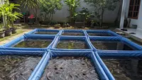 11 Ide Ternak Skala Rumahan yang Bisa Menjadi Aktivitas Produktif Masa Pensiun