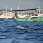 Lumba-lumba berenang dekat perahu yang berisi wisatawan di perairan Pantai Lovina di Singaraja, Bali, Jumat (30/10/2020). Pantai Lovin aini salah satu destinasi pariwisata di Pulau Bali yang menawarkan pemandangan matahari terbit dan wisata mengamati lumba-lumba di laut lepas. (SONNY TUMBELAKA/AFP)