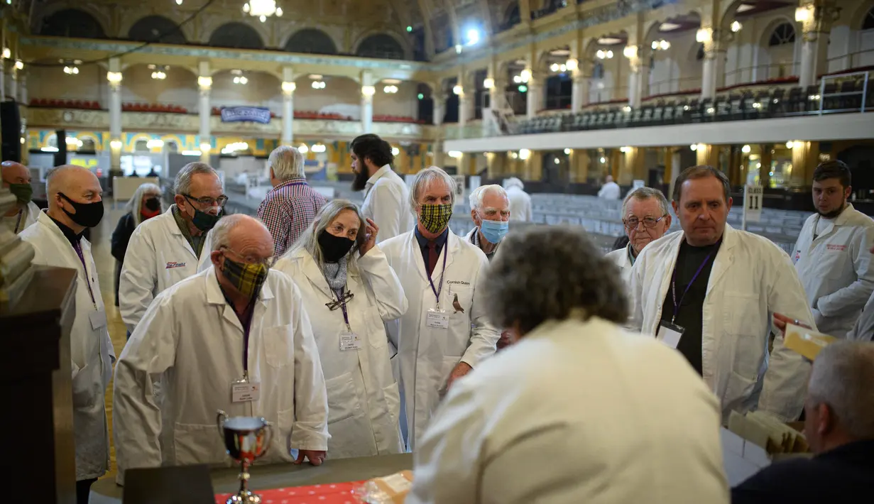 Para juri menerima instruksi mereka selama proses pemilihan merpati dalam acara pertunjukan British Homing World di Blackpool, Inggris (14/1/2022). Pertunjukan British Homing World menarik hingga 15.000 pengunjung. (AFP/Oli Scarff)