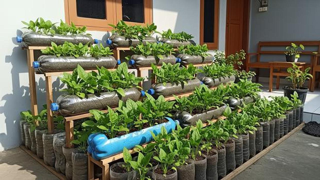 8 Tanaman Sayur yang Rentan Mati Saat Musim Hujan, Wajib Diperhatikan
