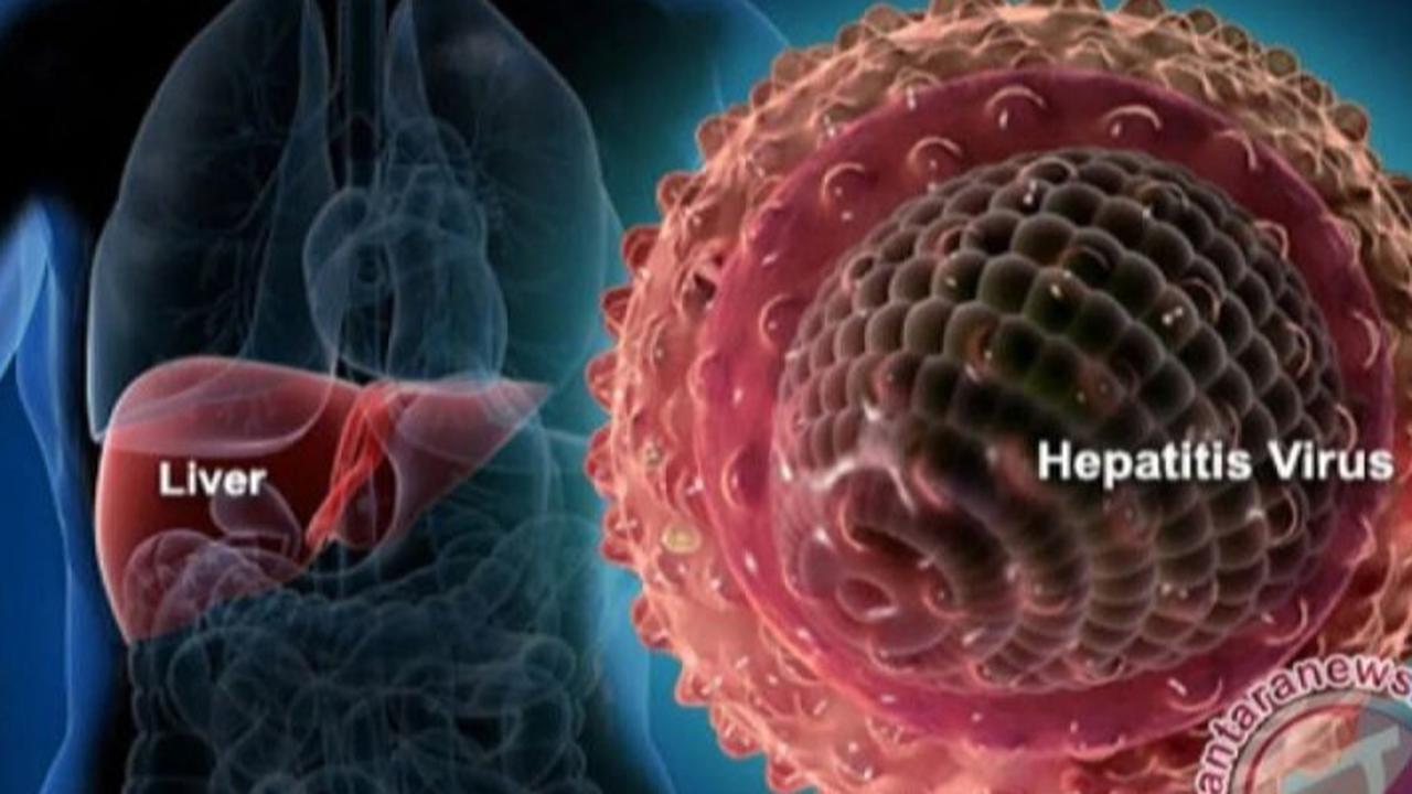 Waspadai Hepatitis: Fakta, Mitos, dan Tips Pencegahannya