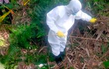 Misteri Mayat Membusuk di Kebun Karet Pesawaran, Tak Ada Identitas Ditemukan
