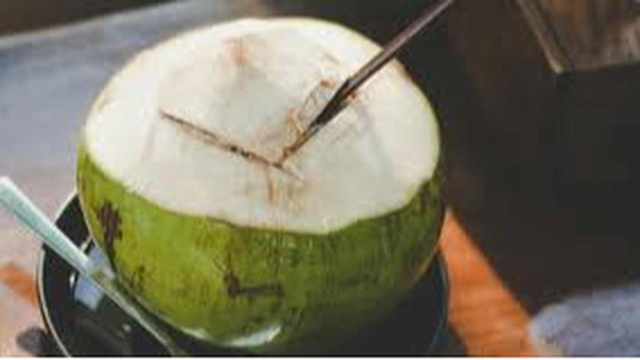 7 Waktu Terbaik Minum Air Kelapa untuk Kesehatan Tubuh: Kapan Sebaiknya?