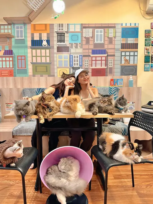 Beby dan Cassandra menikmati waktu mereka di sebuah kafe dengan banyak kucing. Berpose duduk bersebelahan, Beby menggunakan atasan tanpa lengan dan topi putih, sedangkan Cassandra memilih atasan tanpa lengan berwarna biru navy. [Foto: Instagram/bebytsabina]