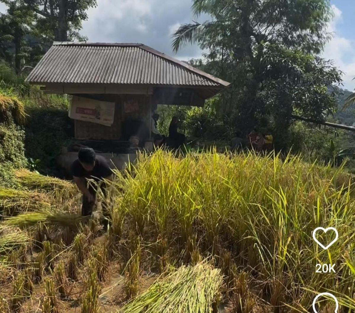 Dok. Istimewa