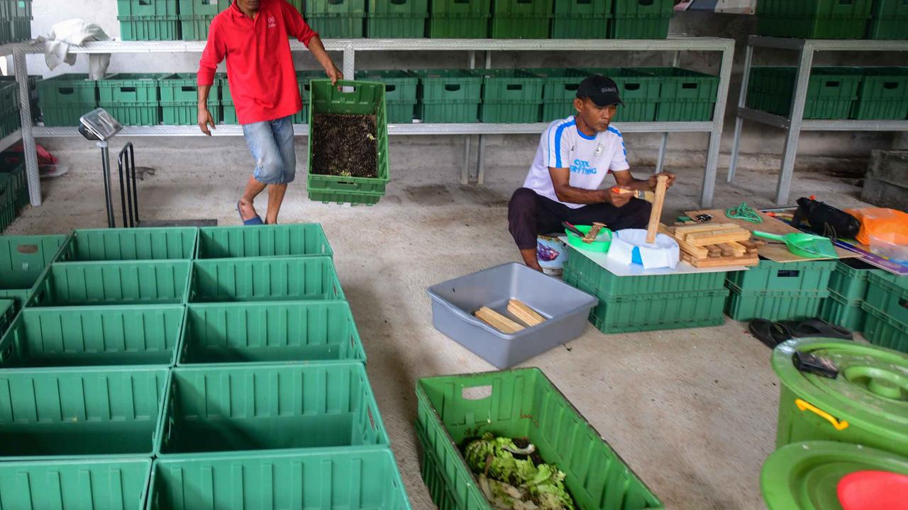 FOTO: Budidaya Maggot Bantu Warga Terdampak PHK di Depok