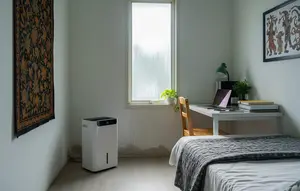 Dehumidifier untuk Mengontrol Kelembapan Rumah saat Musim Hujan, Solusi Bebas Jamur dan Bau Apek