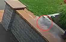 Terekam CCTV saat Pria ini sedang Bersiap Jalan-jalan dengan Anjingnya, Ada Meteor Jatuh Tepat di Depannya