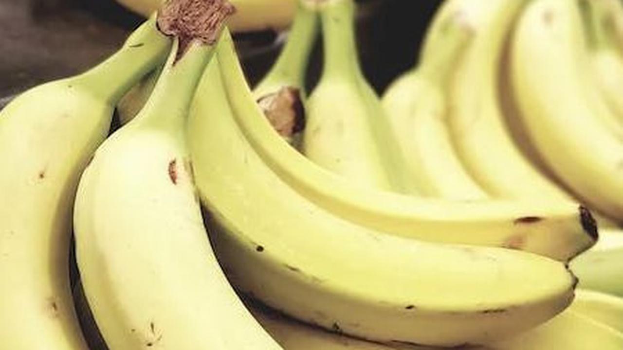 7. Meningkatkan Daya Tahan Tubuh: Pisang mengandung vitamin C dan zat bioaktif yang membantu meningkatkan daya tahan tubuh.