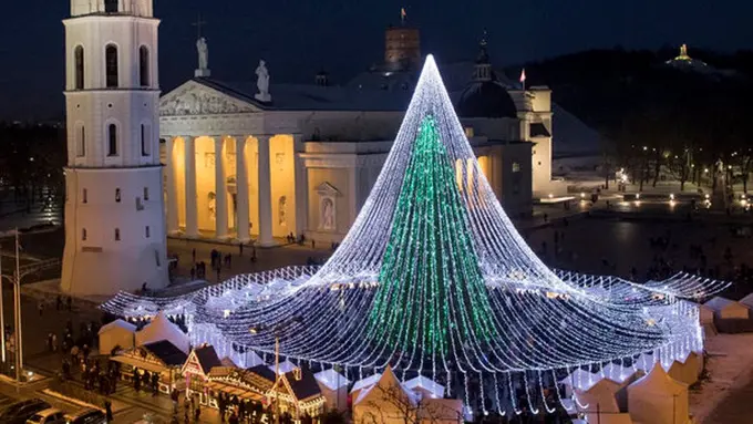 [Bintang] Poho Natal