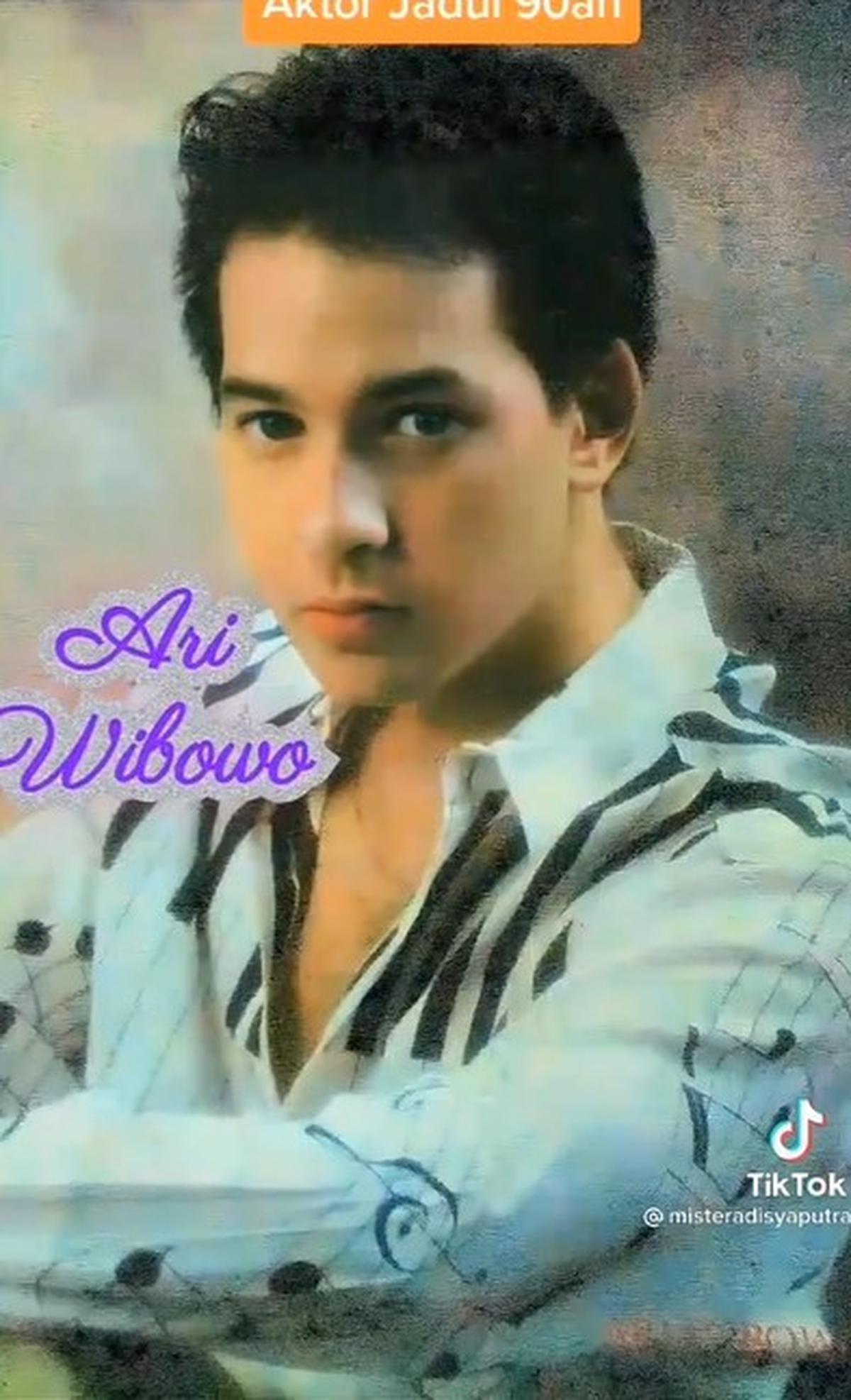 Ari Wibowo&nbsp;