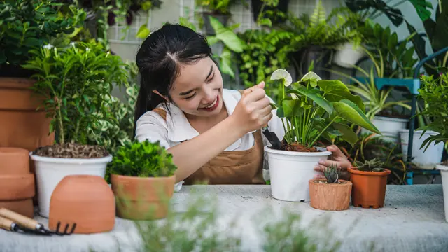 Ilustrasi berkebun/freepik.com/jcomp