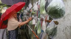 Warga memilih beberapa bahan masakan yang dibagikan secara cuma-cuma di permukiman RT 02/RW 04 kawasan Jati Padang, Jakarta, Jumat (6/3/2026). Selama Ramadan, terdapat sebuah kegiatan berbagi bantuan bahan makanan dan pakaian layak pakai yang rutin dilaksanakan dalam sembilan tahun terakhir. (merdeka.com/Arie Basuki)