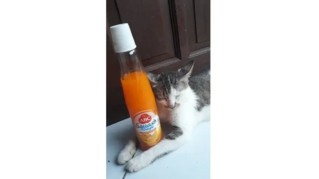 6 Kelakuan Gabut Saat Nunggu Buka Puasa, Bikin Tepuk Jidat