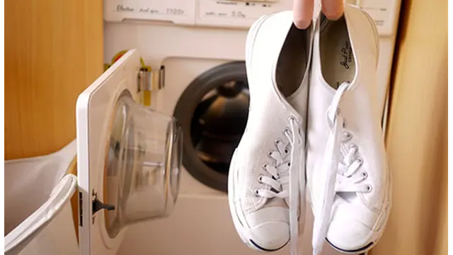 Mesin Cuci Ternyata Bisa Bersihkan 3 Barang Ini