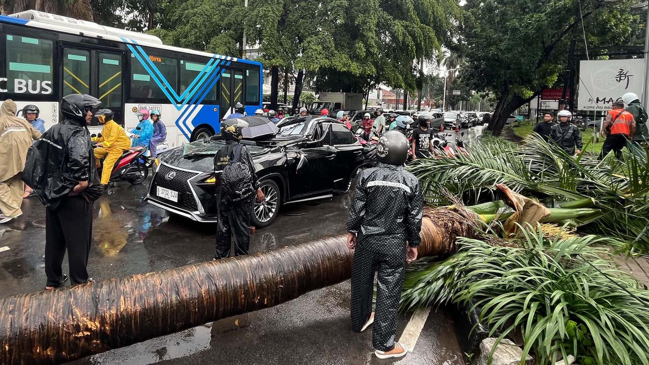 FOTO: Pohon Tumbang Timpa Mobil Mewah di Pondok Indah, Supir Tewas di Tempat