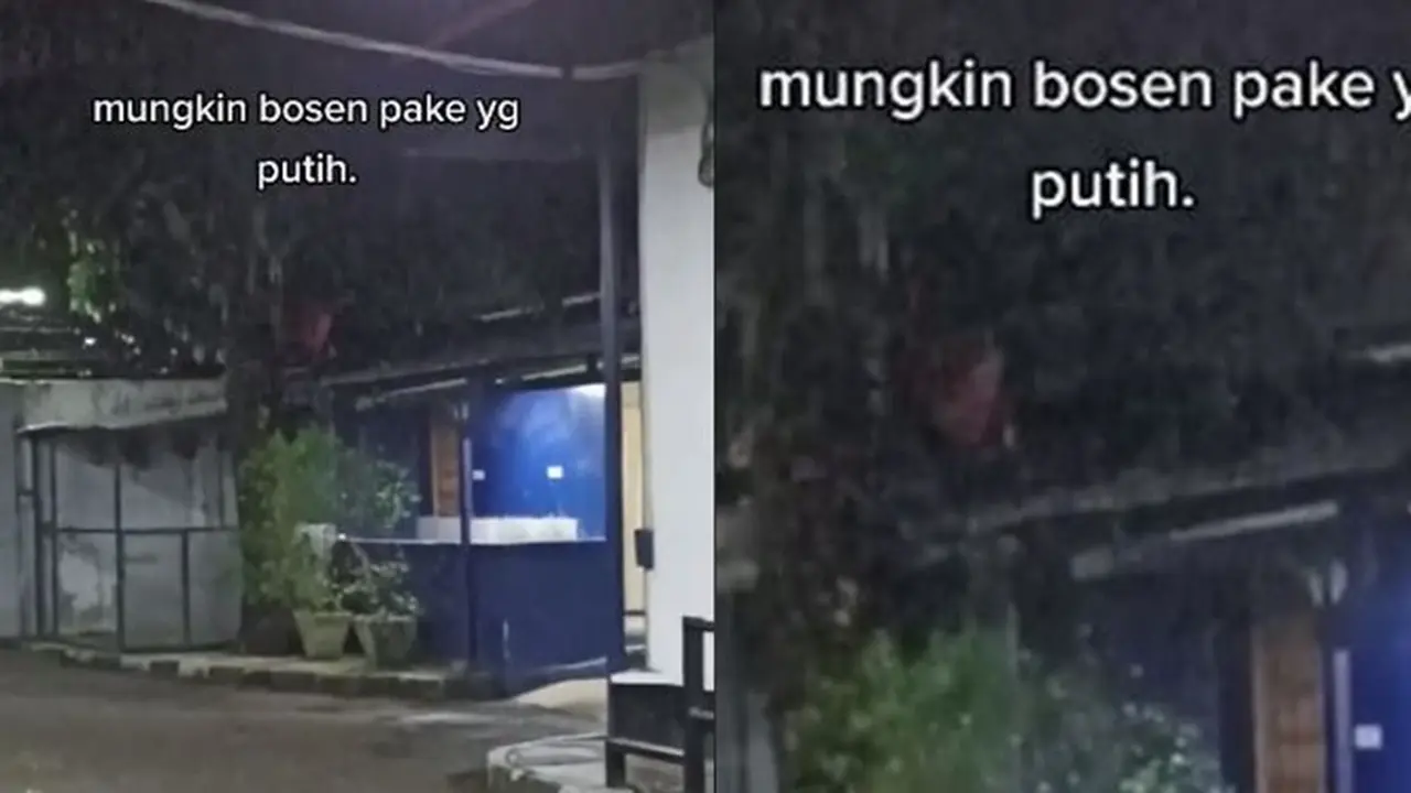 Viral Penampakan Diduga Kuntilanak Merah di Atas Pohon, Bikin Bulu Kuduk Berdiri
