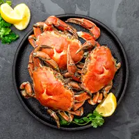 ilustrasi kepiting/copyright by Larisa Blinova Shutterstock