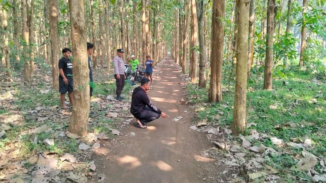 Viral! Kasus Begal Blitar di Hutan Jati: Korban Dianiaya hingga Luka Parah, Ini Kronologinya
