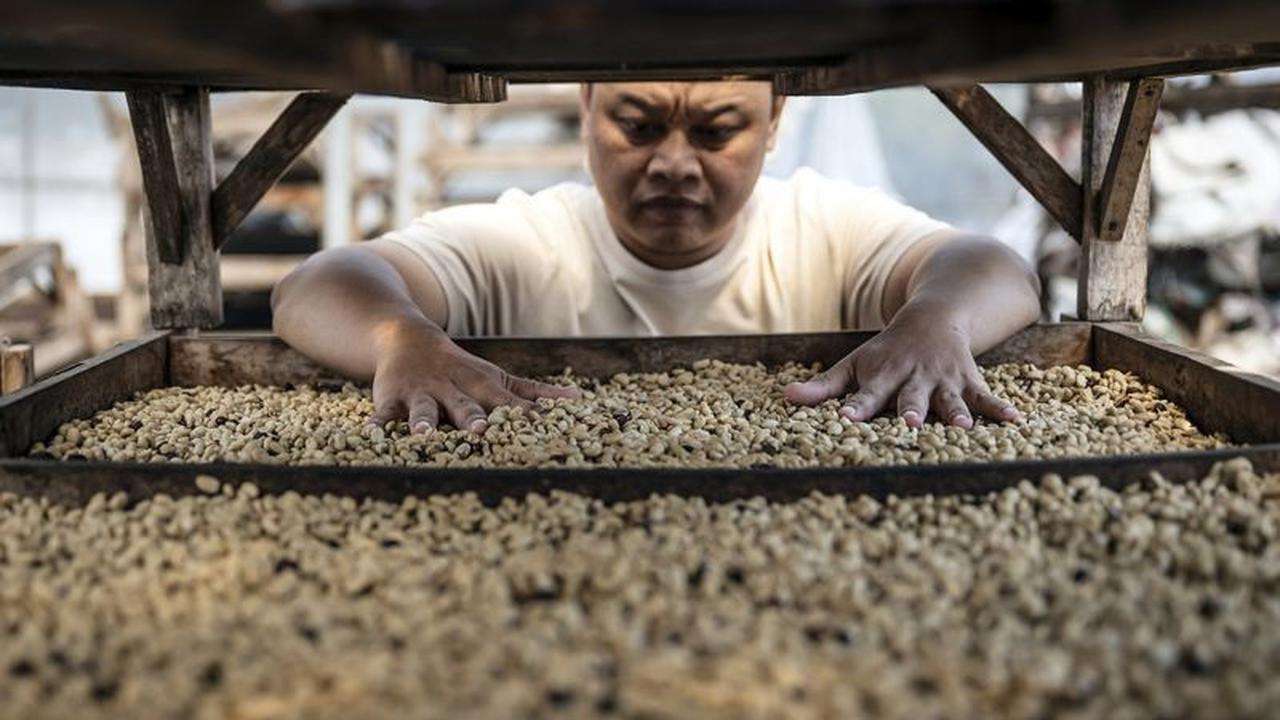 Kadin Indonesia Dorong Ekspor Produk Pertanian dan UMKM ke Jepang, Sasar Pasar Strategis