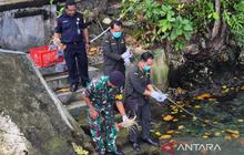 BKHIT Papua Barat Lakukan Pelepasliaran Lobster Bertelur di Manokwari, Jaga Populasi Laut