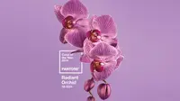 Radiant Orchid, Warna yang Bakal Tren di 2014