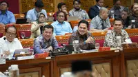 Ketua Umum PSSI Erick Thohir pada rapat dengan Komisi X dan Komisi XIII DPR. (Istimewa)