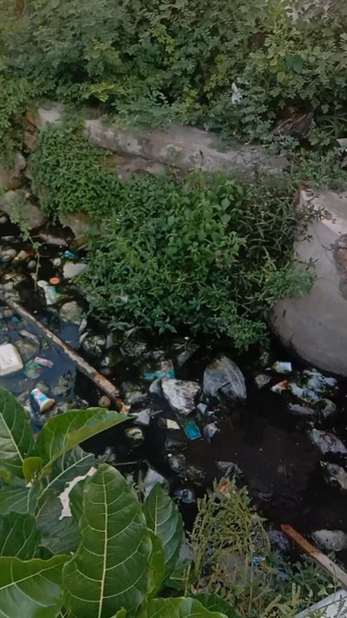 Para Bocah Kompak Bersihkan Selokan di Tepi Jalanan, Aksinya Banjir Pujian