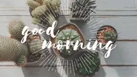 150 Good Morning Wishes for Your Partner, Friends, Kids, and Colleagues