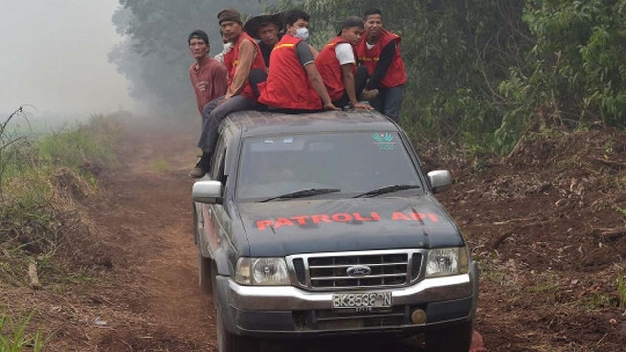 Kisah pekerja kebun kelapa sawit berjibaku padamkan kebakaran hutan