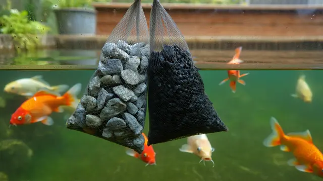Kolam ikan outdoor (Foto: Gemini AI)