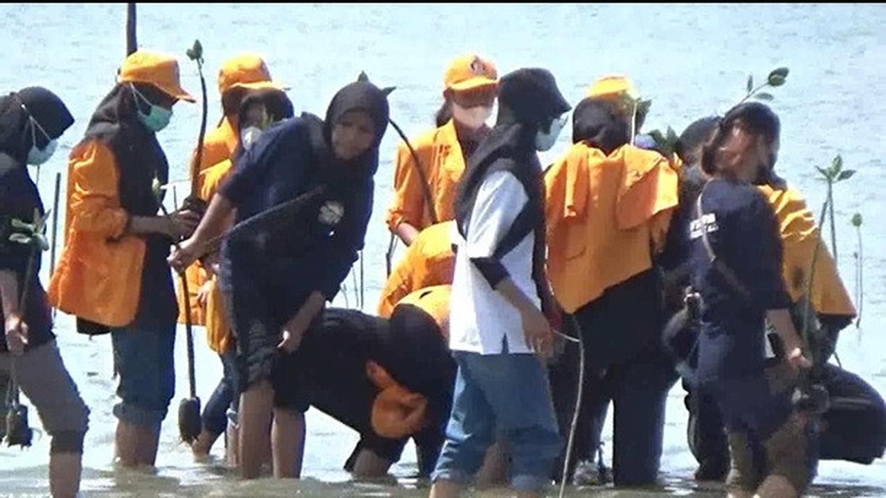 Mahasiswa  Sulawesi Tenggara menanam sebanyak 2022 pohon mangrove di pesisir pantai Konawe memperingati hari Bumi,(Liputan6.com/dok warga)
