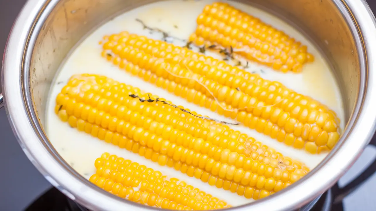 jagung rebus