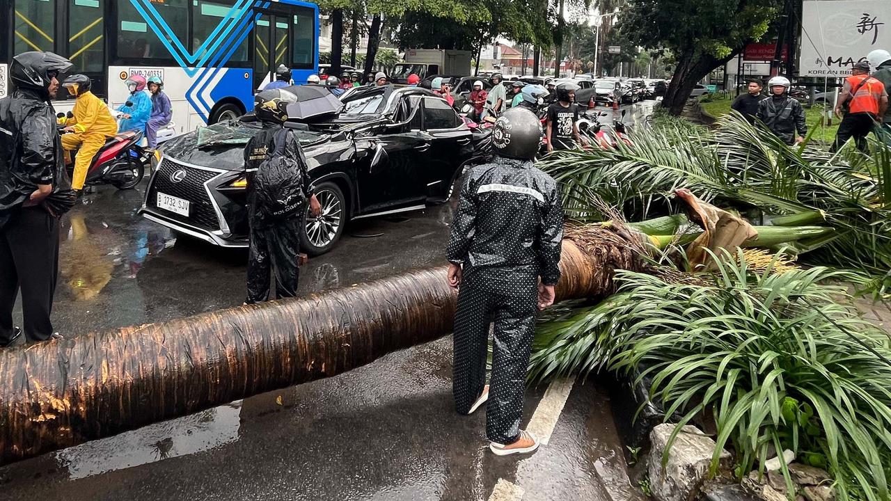 FOTO: Pohon Tumbang Timpa Mobil Mewah di Pondok Indah, Supir Tewas di Tempat